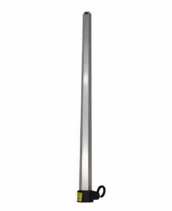 middle leg segment