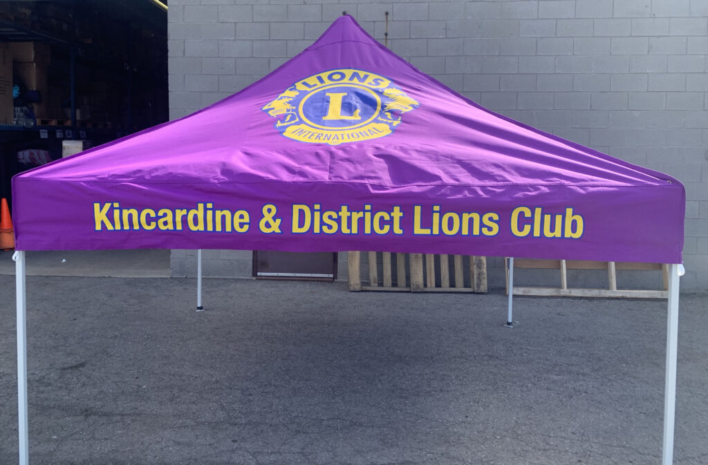 Example of canopy with vinyl printing, make the choice of vinyl.